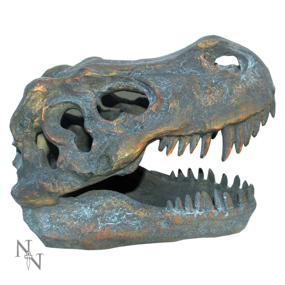 Nemesis Now - Tyrannosaurus Rex Skull Freestanding Figurine - Gris